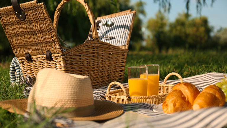 Ringside Picnic