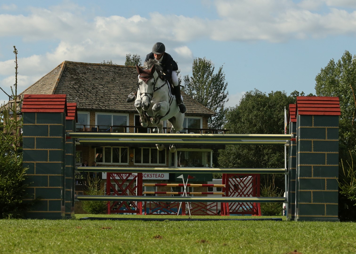 JP_B8008 (Large).jpg