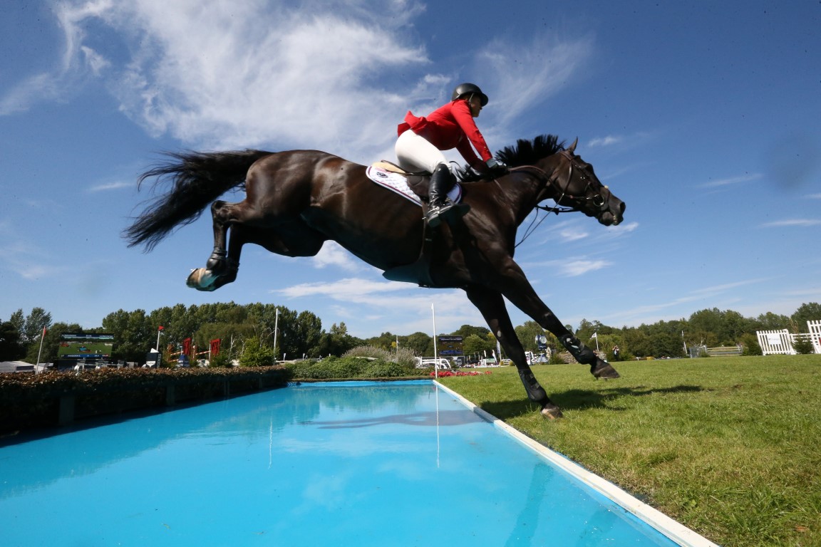 JP_A0447 (Medium).JPG