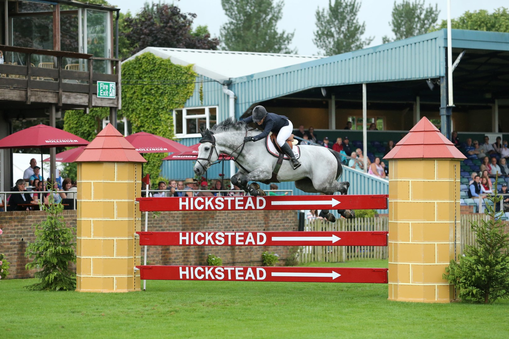 JP_B3204 (Large).jpg