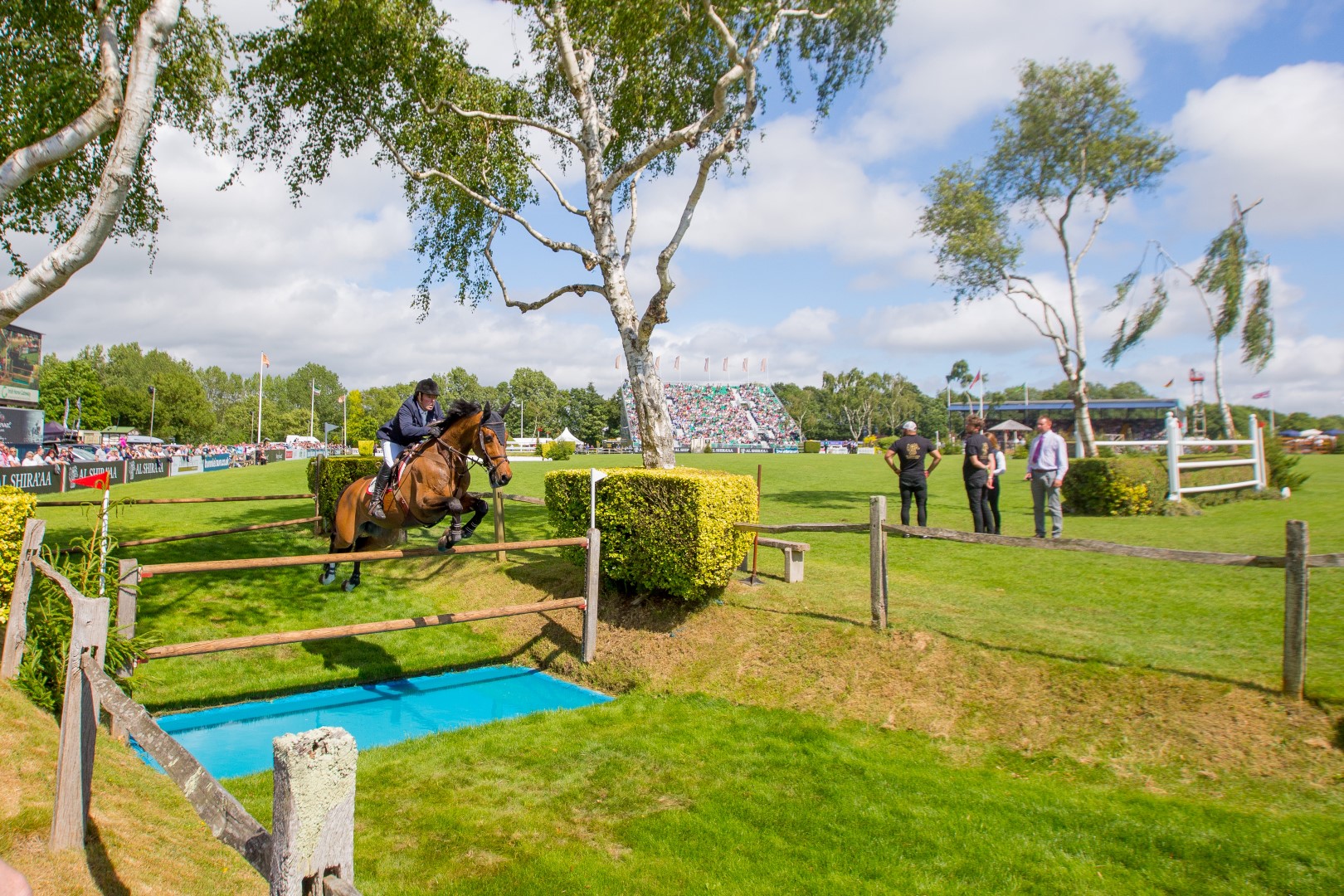 CP1_9537 (Large).jpg