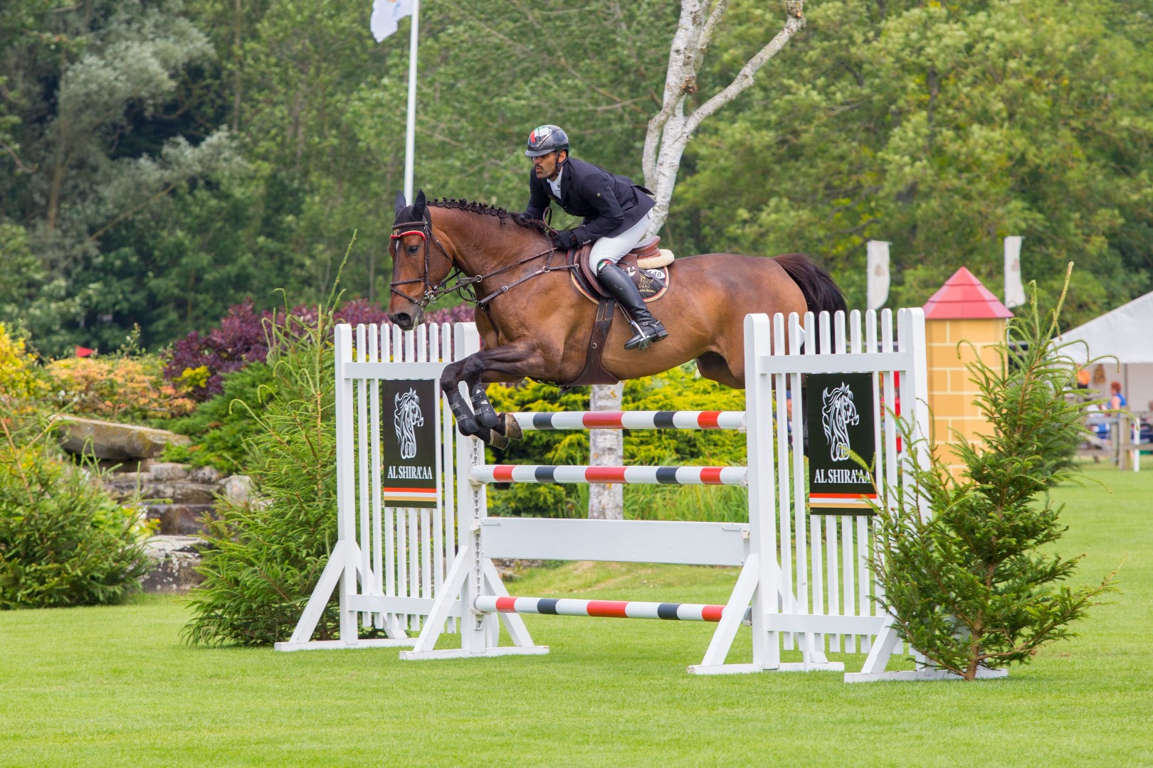 CP2_8372 (Large).jpg