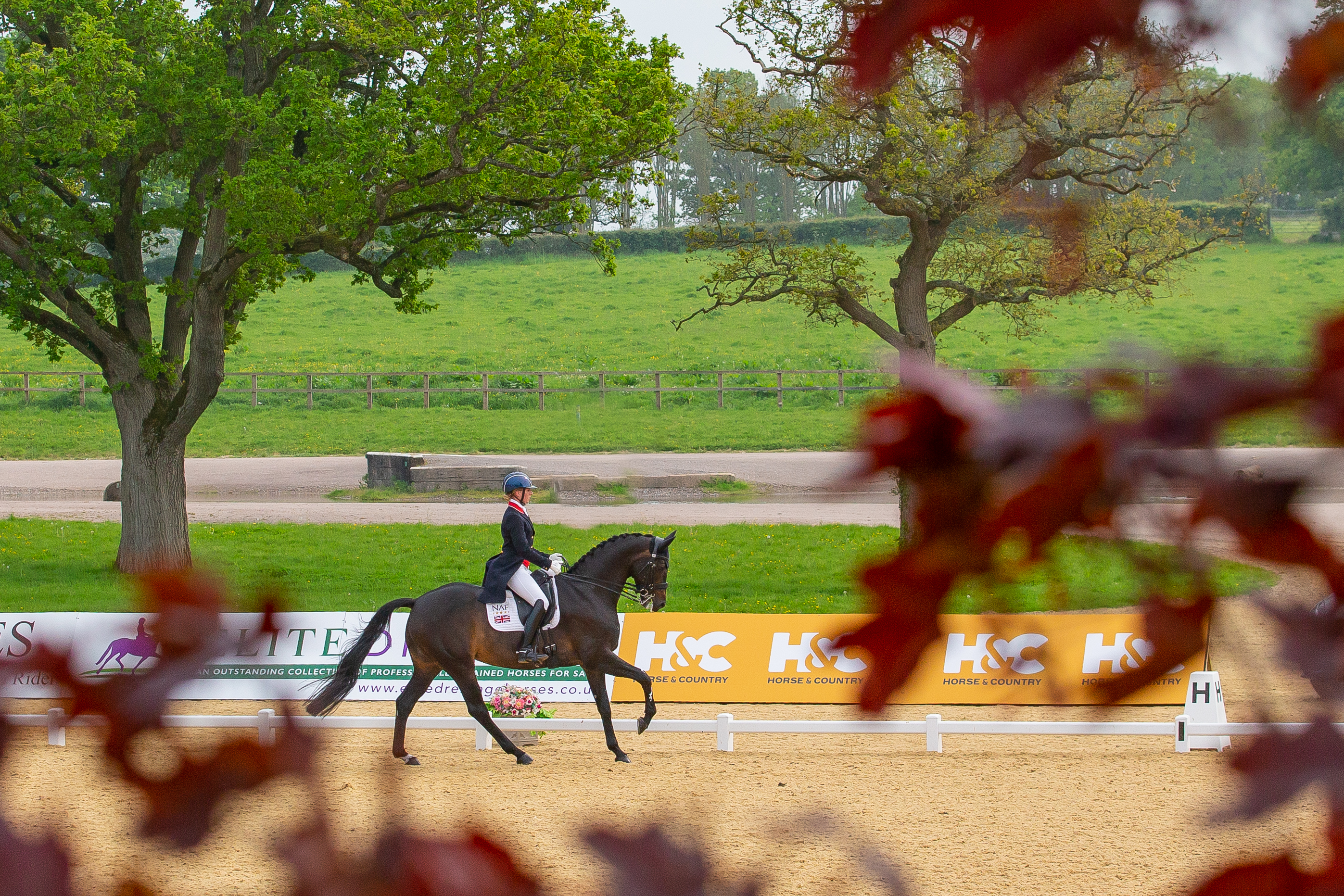 Welcome to Hickstead