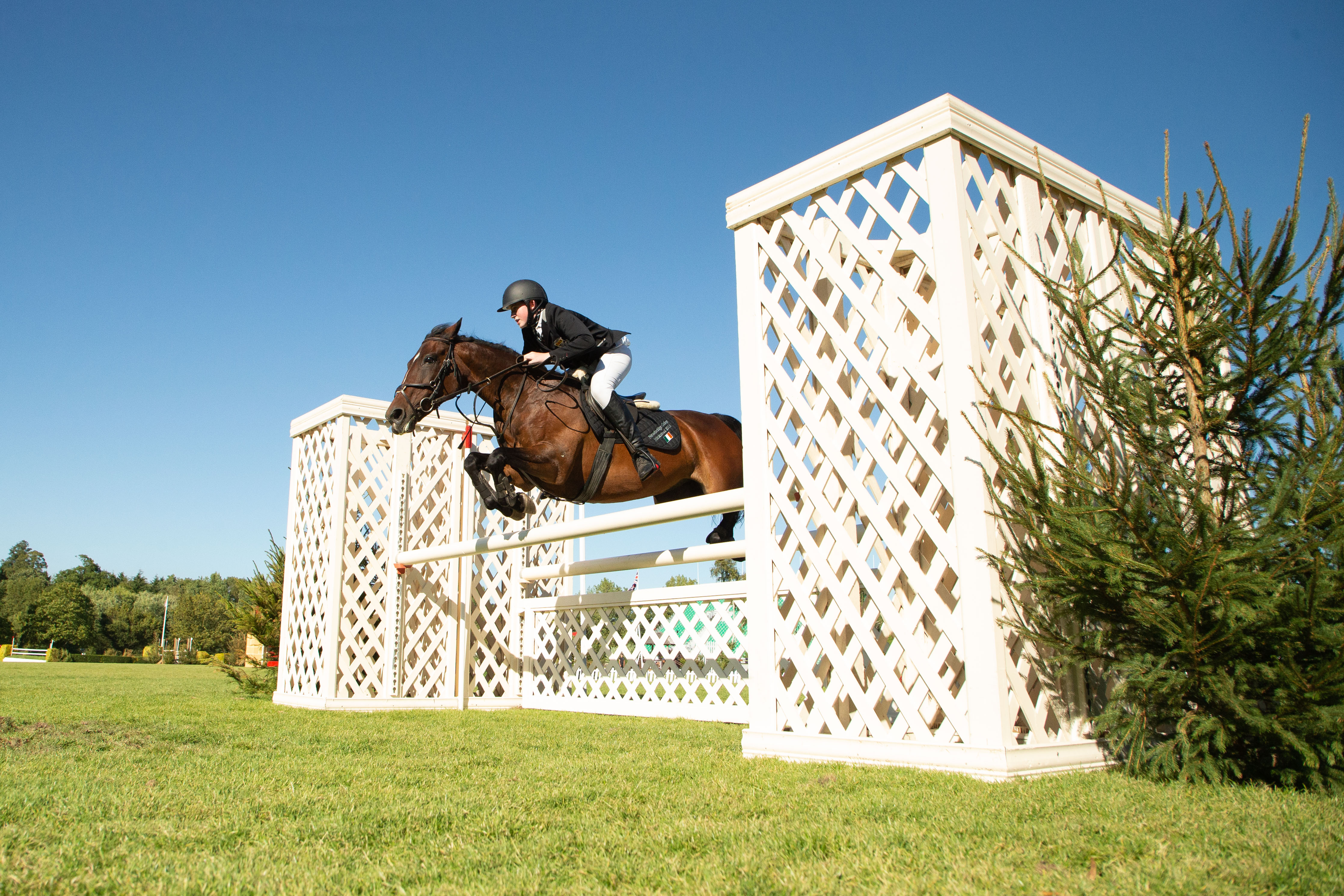 Senior Individual (c) Julian Portch.jpg