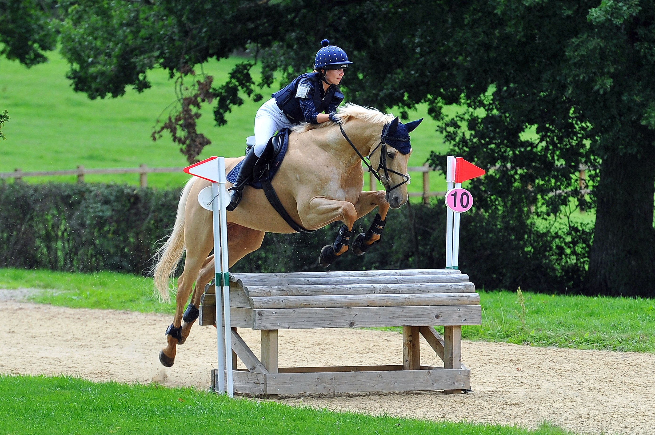 Welcome to Hickstead