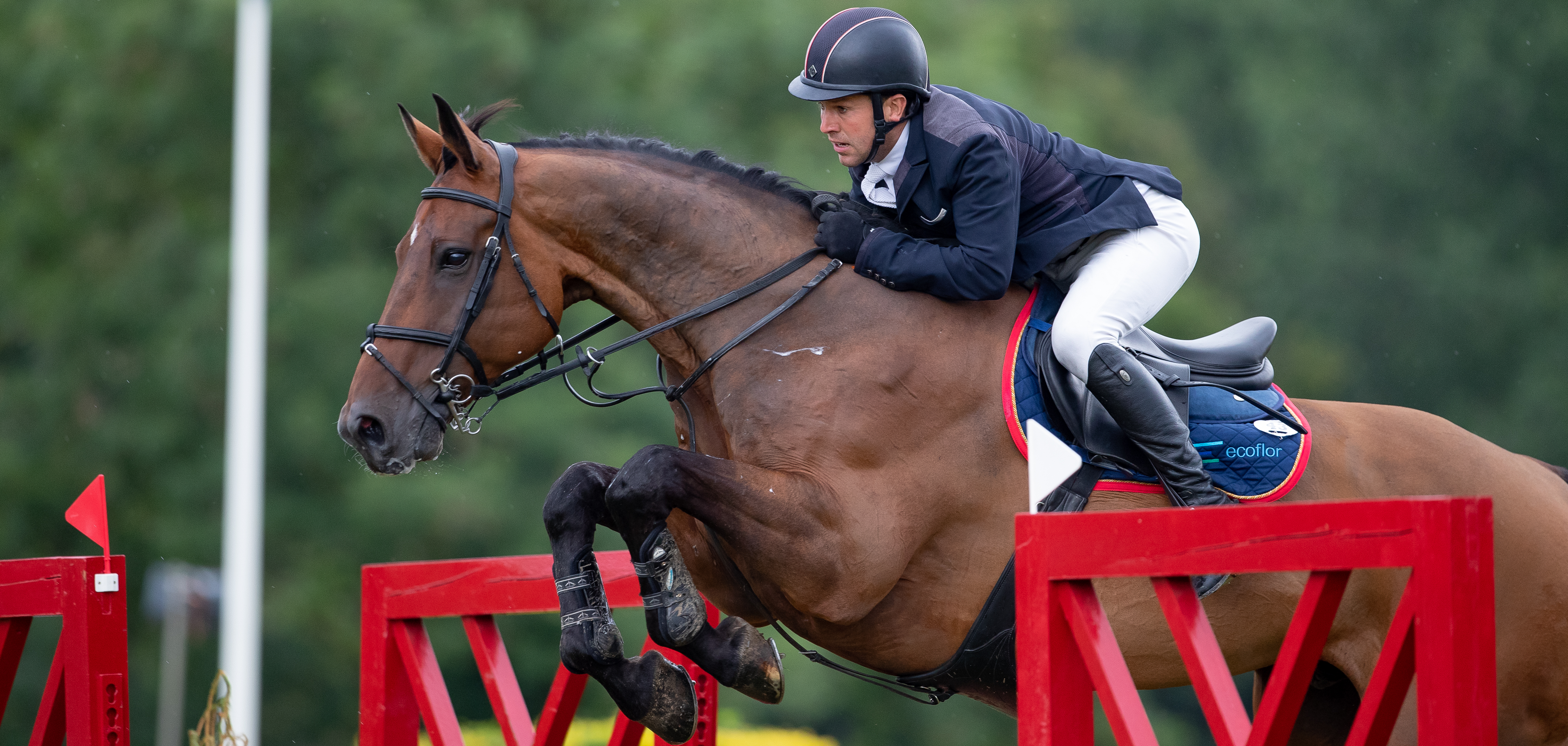 Mark Edwards Montreuxs Tale 13