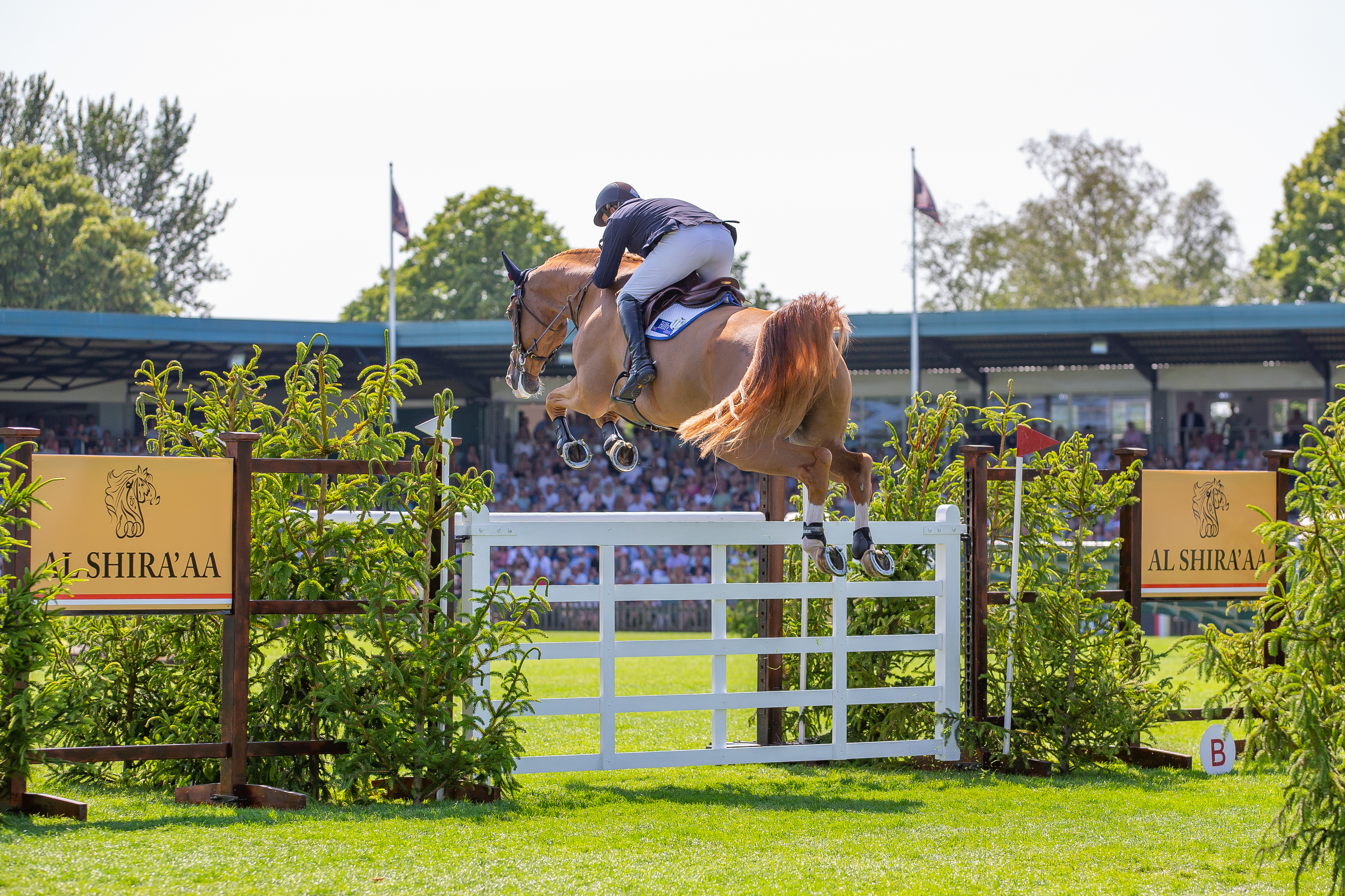 BH HICK BS 20230625 36