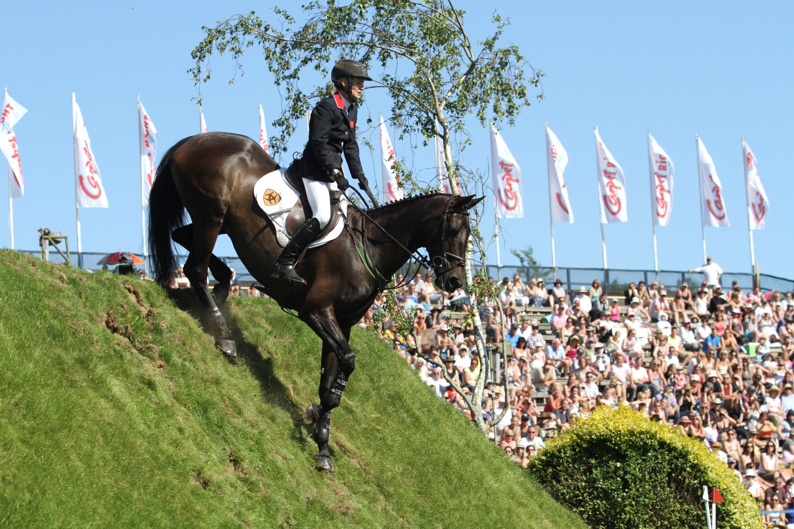 Tina Fletcher Promised Land