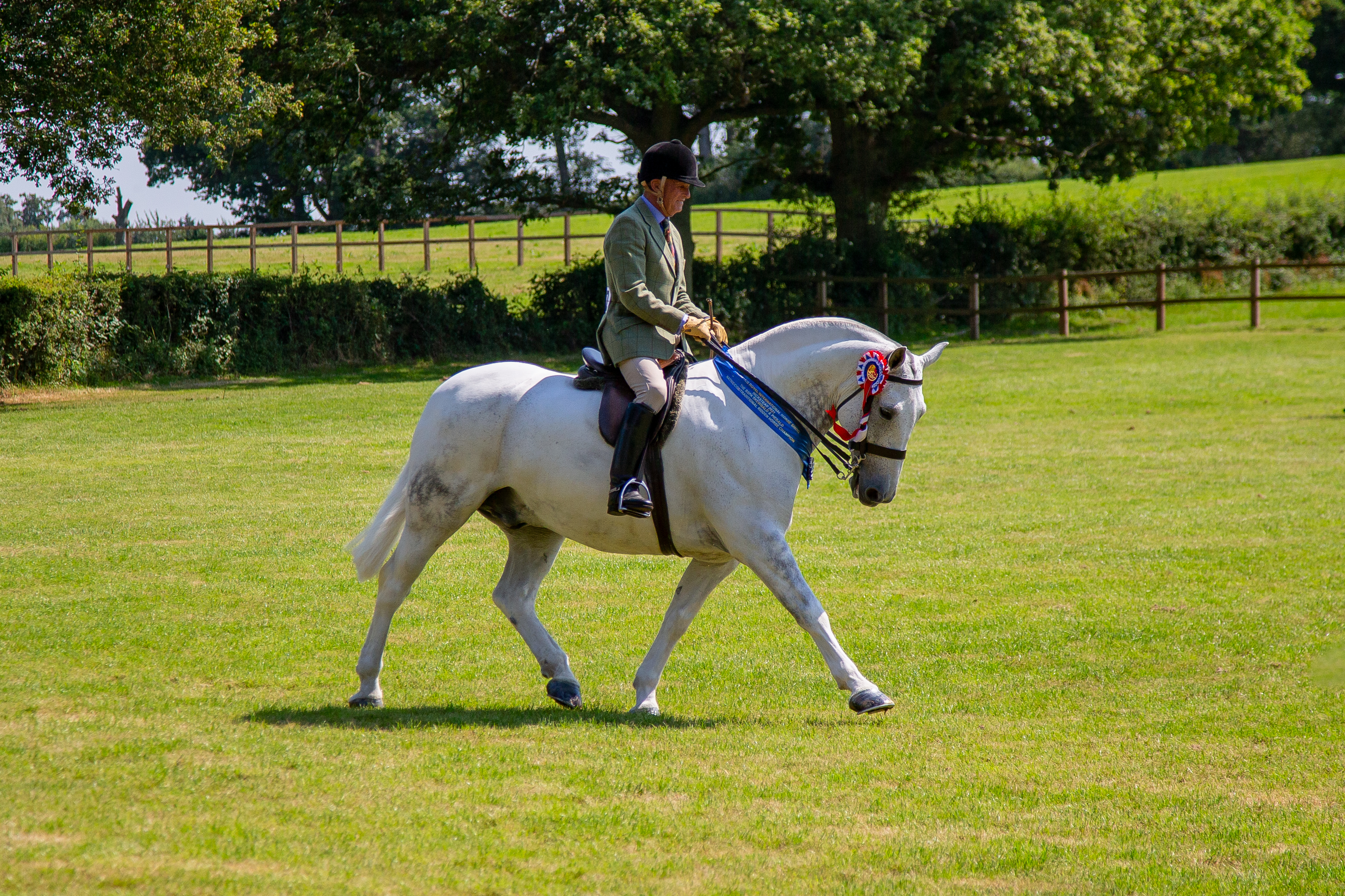 Alister Hood Our Cashel Blue3