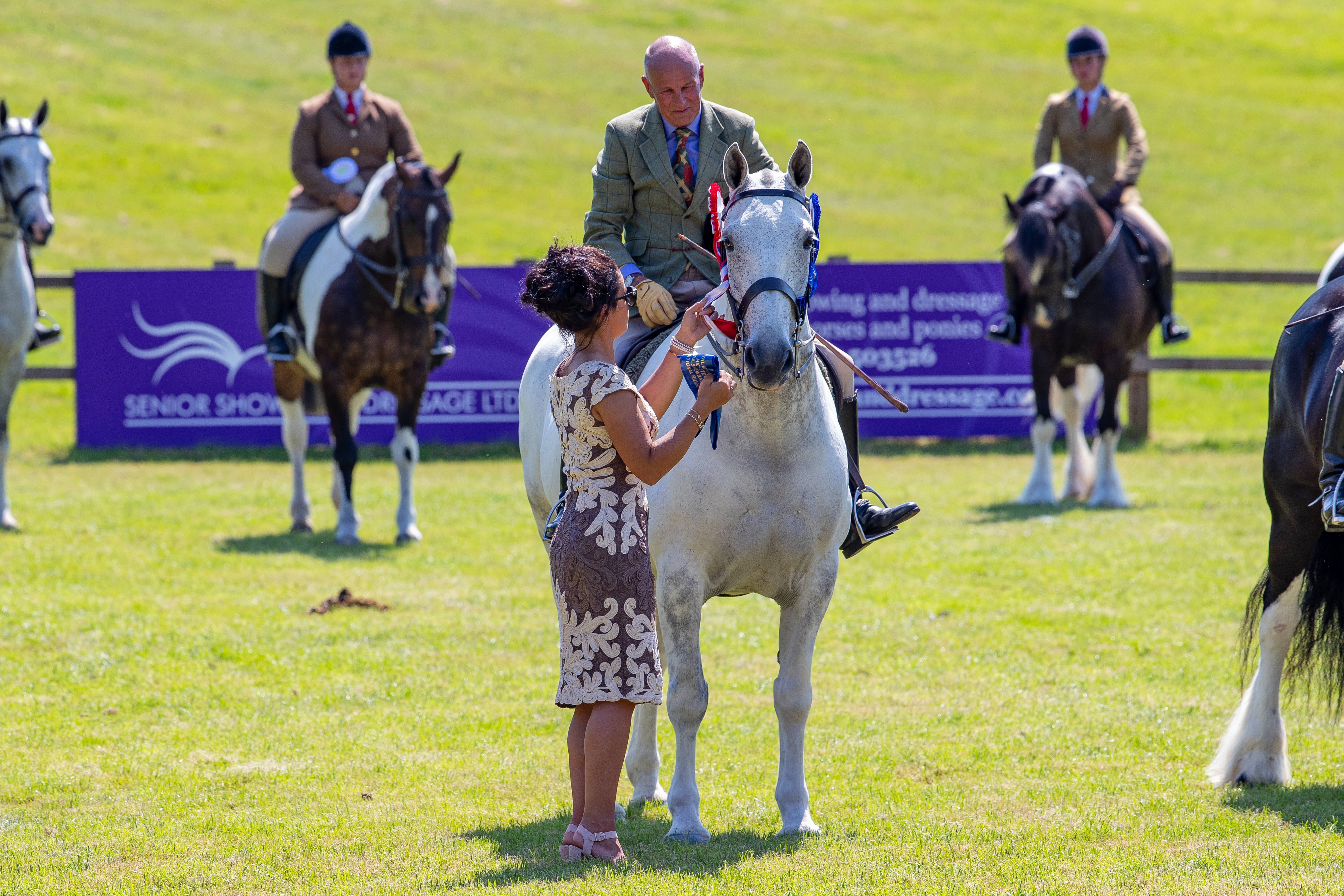 Alister Hood Our Cashel Blue