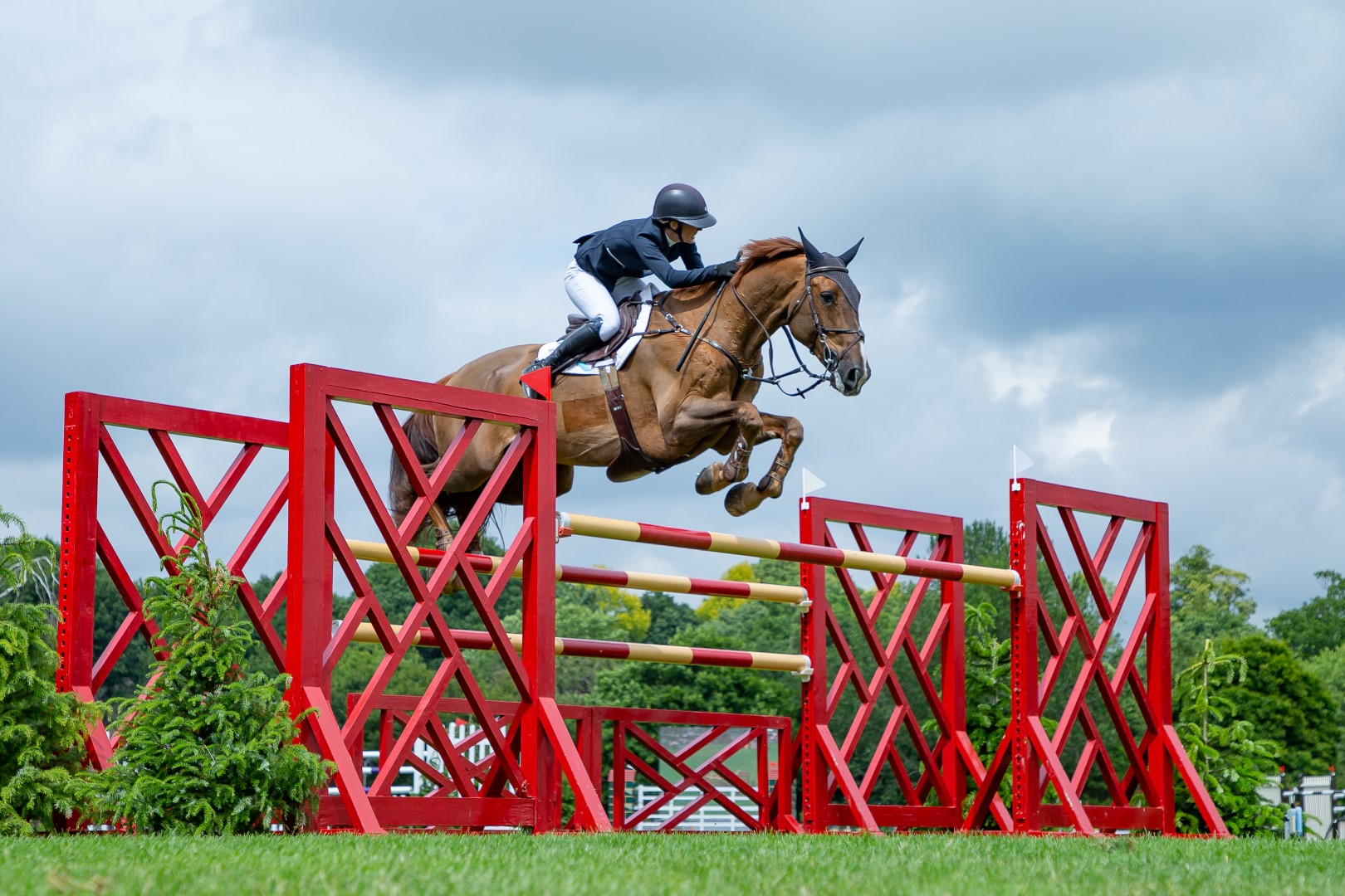 BH HICK ASC 20220624 73 (Large) (1)