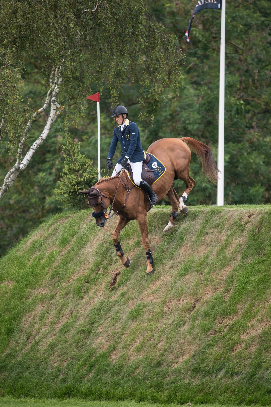 Shane Breen (IRL) & Golden Hawk KS11612