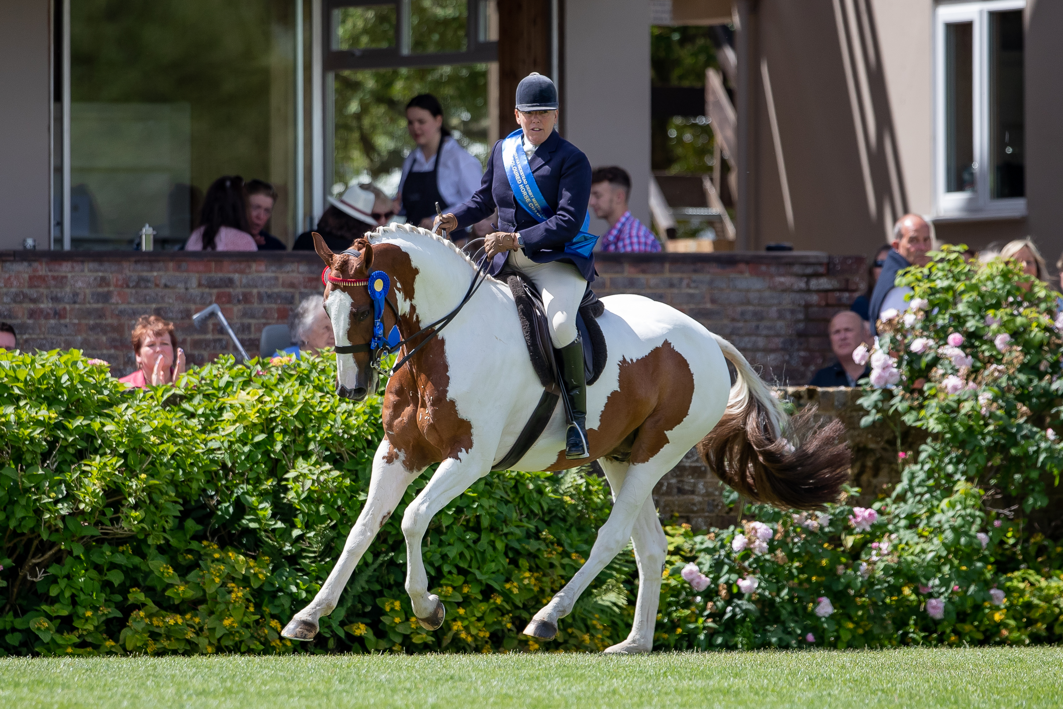 Katie Jerram-Hunnable & Sunbeam